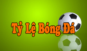 bo-tui-cac-ty-le-ca-cuoc-bong-da-chat-luong-nhat-cho-newbie