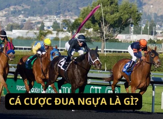 dua-ngua-la-gi